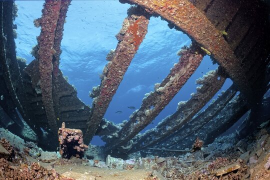 Below deck in wreck, shipwreck, Chrisoula K, Greek, cargo ship, tile freighter, ship frame, sunk on 30.08.1981 on Sha'b reef, or Shaab Abu Nuhas, Red Sea, Egypt