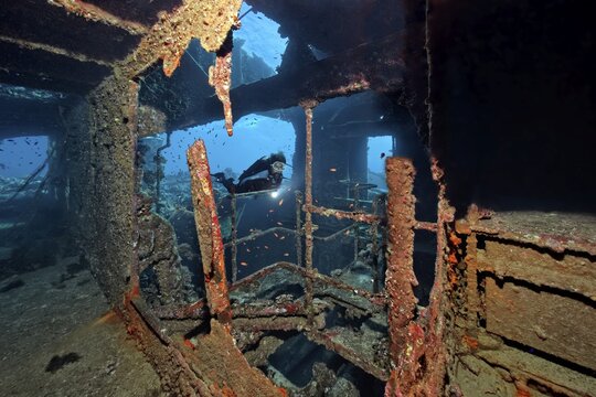 Diver, diver below deck in wreck, shipwreck, Chrisoula K, Greek, cargo ship, tile freighter, stern, sunk on 30.08.1981 on Sha'b reef, or Shaab Abu Nuhas, Red Sea, Egypt