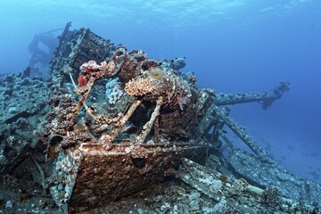 Deck superstructure on wreck, shipwreck, Chrisoula K, Greek, cargo ship, tile freighter, stern, sunk on 30.08.1981 on Sha'b reef, or Shaab Abu Nuhas, Red Sea, Egypt