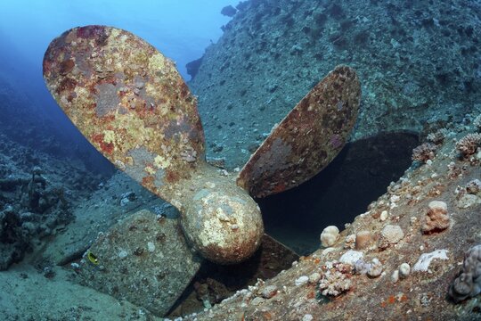 Wreck, shipwreck, Chrisoula K, Greek, cargo ship, tile freighter, propeller, sunk on 30.08.1981 on Sha'b reef, or Shaab Abu Nuhas, Red Sea, Egypt