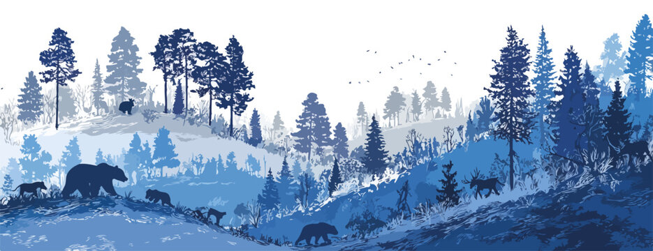 青いトーンで描かれた、子連れのクマの群れが霧深い針葉樹林の丘を歩く様子のベクターイラストレーション。