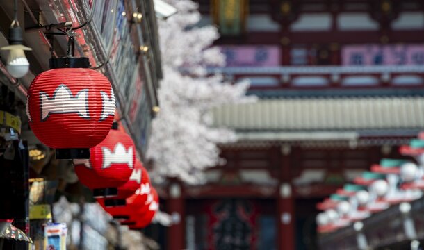 Red lanterns on Nakamise-dori shopping street, in the back the Hōzōmon Gate of Asakusa Shrine or Sensō-ji Temple, Buddhist Temple Complex, Asakusa, Tokyo, Japan