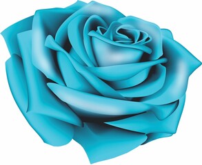 Realistic Blue Flower