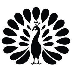 Silhouette of a peacock with its tail feathers spread wide in a majestic display on white background