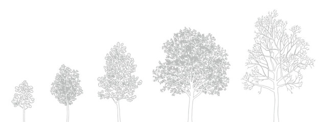 CAD tree linework, side view trees for landscape design, precise vector symbols ideal for architectural drafting, garden planning, urban projects and high-quality landscape presentation graphics.