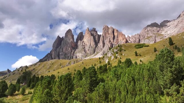 Puez - Odle mountain range with pine forest in the foreground