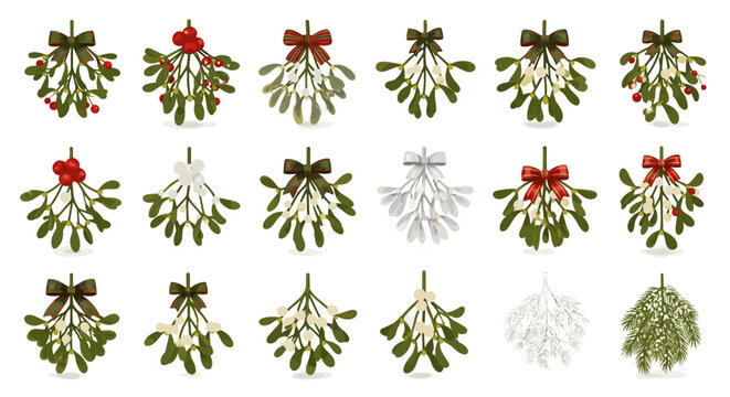 Collection of mistletoe sprigs with various bows isolated on