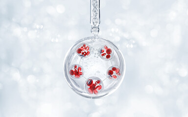 blood stem cell molecule