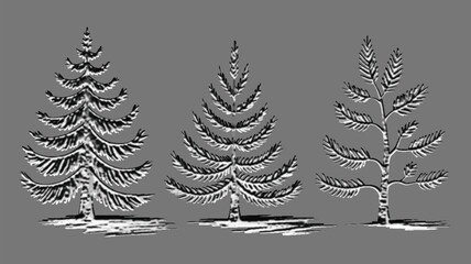 Obraz premium Architectural drawings minimal style cad tree line drawing set of green fir trees isolated on white background, detailed outline symbols for landscape design, christmas decoration graphics