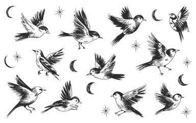 Obraz premium Hand-Drawn Flying Birds Pattern with Stars and Crescent Moons – Black and White Vintage Illustration.