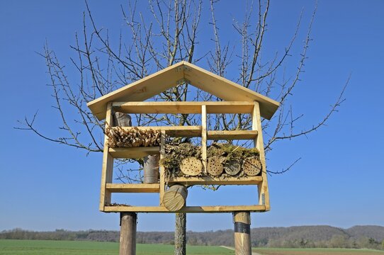 Nesting aid for wild bees and other insects with wood and elder stems, wild bee nesting aid, insect nesting aid, insect hotel