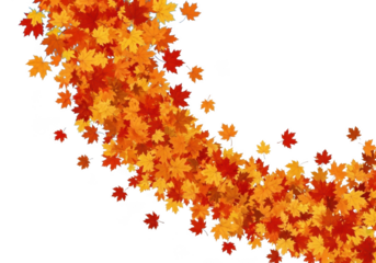 Autumn leaves foliage design element isolated on transparent background