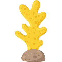 Bright Yellow Branching Sea Sponge Growing from Textured Brown Rock on Transparent Background