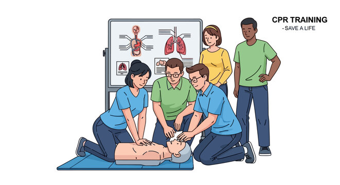 Group people practicing cpr on dummy during cpr training session, with anatomical diagrams lungs on whiteboard in the