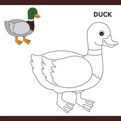 Duck Copy Colour worksheet for kids