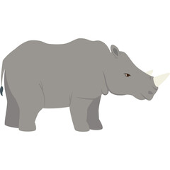 A Realistic Gray Rhinoceros With Two Horns And A Tail Standing On A White Background In A Side View Profile