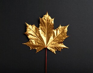 Golden Maple Leaf on Dark Background © Mila