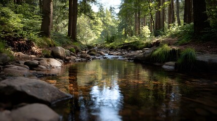 Obraz premium A serene forest stream flows gently over rocks under d d sunlight reflecting the lush greenery of the surrounding woods