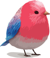 vector illustration of bird
