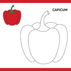 Capicum Copy Colour worksheet for kids