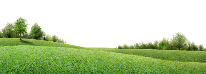 landscape with green grass/Green rolling hills with lush grass and scattered trees, creating a peaceful and natural landscape against a bright background © Saharattaphum