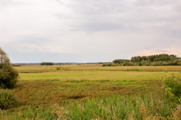 Vast green field under cloudy sky with distant trees and gentle landscape in early evening light