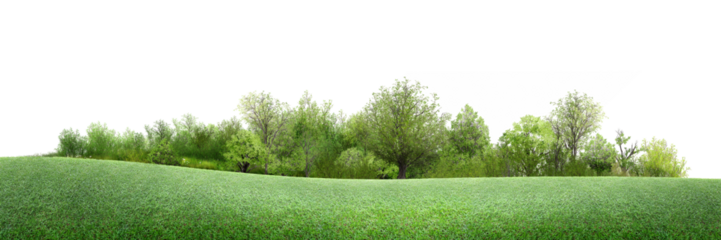 grass/A peaceful green meadow with gently rolling hills and a dense line of lush trees, creating a serene natural landscape under a bright open sky.