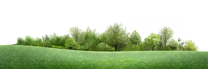 Gardinen Olive grass/A peaceful green meadow with gently rolling hills and a dense line of lush trees, creating a serene natural landscape under a bright open sky.  © Saharattaphum