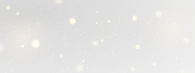 Twinkling Stardust Holiday Path