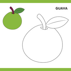 Guava Copy Colour worksheet for kids