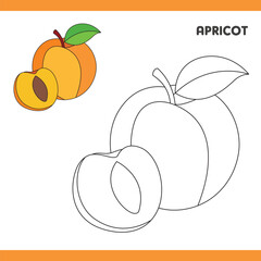 Apricot Copy Colour worksheet for kids