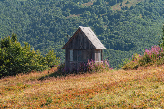 A small, rustic wooden hut sits on a grassy, sun-drenched hill with colors of gold, orange, and red, surrounded by patches of purple wildflowers. - Powered by Adobe