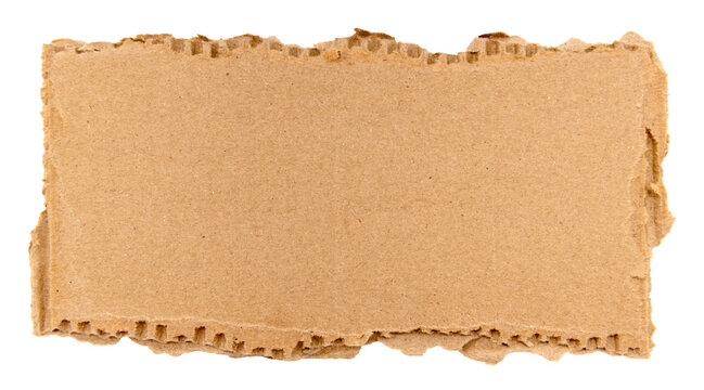 Piece of torn cardboard on a white background. Torn cardboard isolate