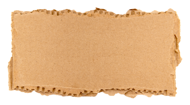Piece of torn cardboard on a white background. Torn cardboard isolate