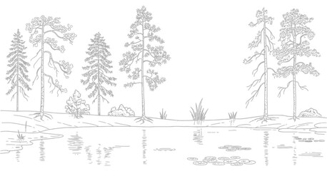 Create architectural drawings, minimal style cad tree line drawing, side view, set of section wetland forest outline for landscape design drawing, clean vector elements suitable for garden planning, s