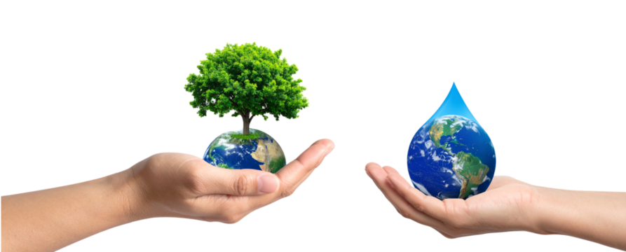 Hand Cradling Globe with Green Tree Inside, Front Perspective Hand Holding Drop-Shaped Earth Globe,