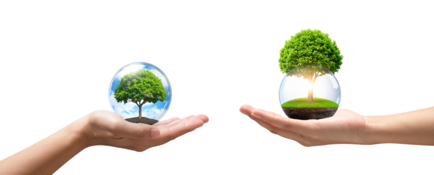 Hand Cradling Globe with Green Tree Inside, Front Perspective,