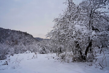The branches of the trees are covered with the first snow. A lake in a mountainous area with a variety of vegetation. November.