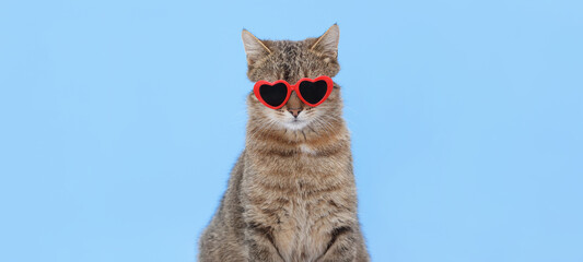Cheerful tabby cat wearing red heart-shaped sunglasses on a solid light-blue backdrop, studio portrait with ample copy space, playful pet lifestyle, perfect for advertising and social media.