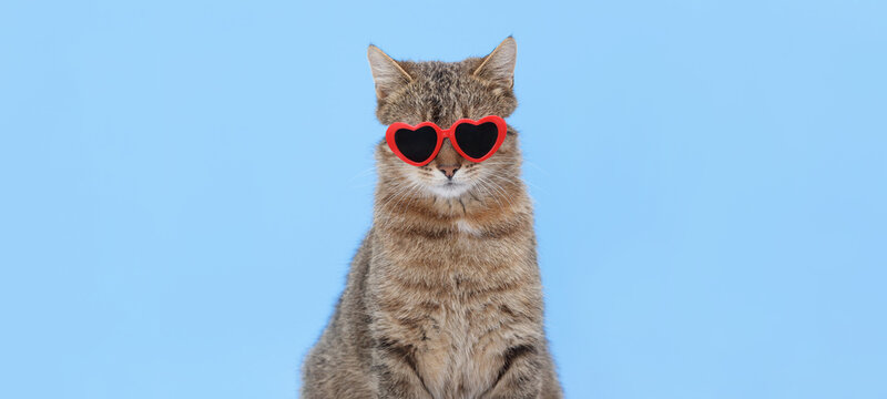 Cheerful tabby cat wearing red heart-shaped sunglasses on a solid light-blue backdrop, studio portrait with ample copy space, playful pet lifestyle, perfect for advertising and social media.