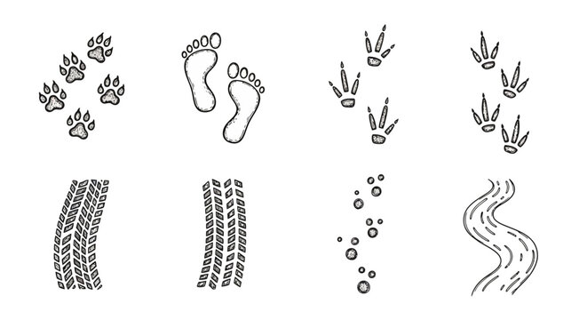Hand-drawn footprints and tracks collection with animal and human paths in doodle style