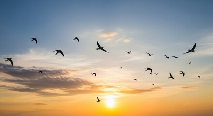 Birds Flying in Sunset Sky, Nature, Wildlife, Silhouette