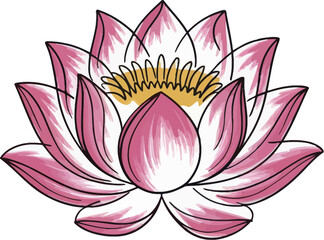 Pink and Yellow Lotus Flower with Black Outline water lily