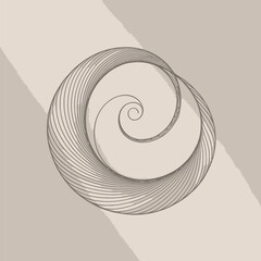 Intertwined Spiral Geometric Design abstract swirl