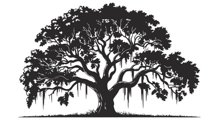 Majestic live oak tree silhouette, detailed southern oak with spanish moss hanging from branches, isolated on white background, suitable for botanical illustrations, landscape projects