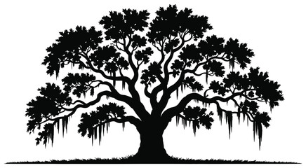 Majestic live oak tree silhouette, detailed southern oak with spanish moss hanging from branches, isolated on white background, suitable for botanical illustrations, landscape projects