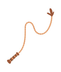 Lasso vintage cowboy whip element