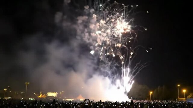 Bright fireworks exploding over crowd at night celebration. Possible use event, festival promotion
