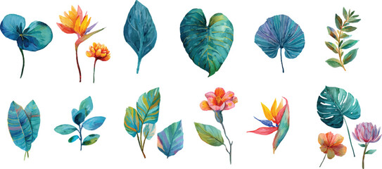 Obraz premium set of colorful floral elements