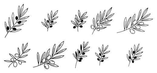 Olive branch vector icon set Hand drawn botanical illustration of leaves and olives